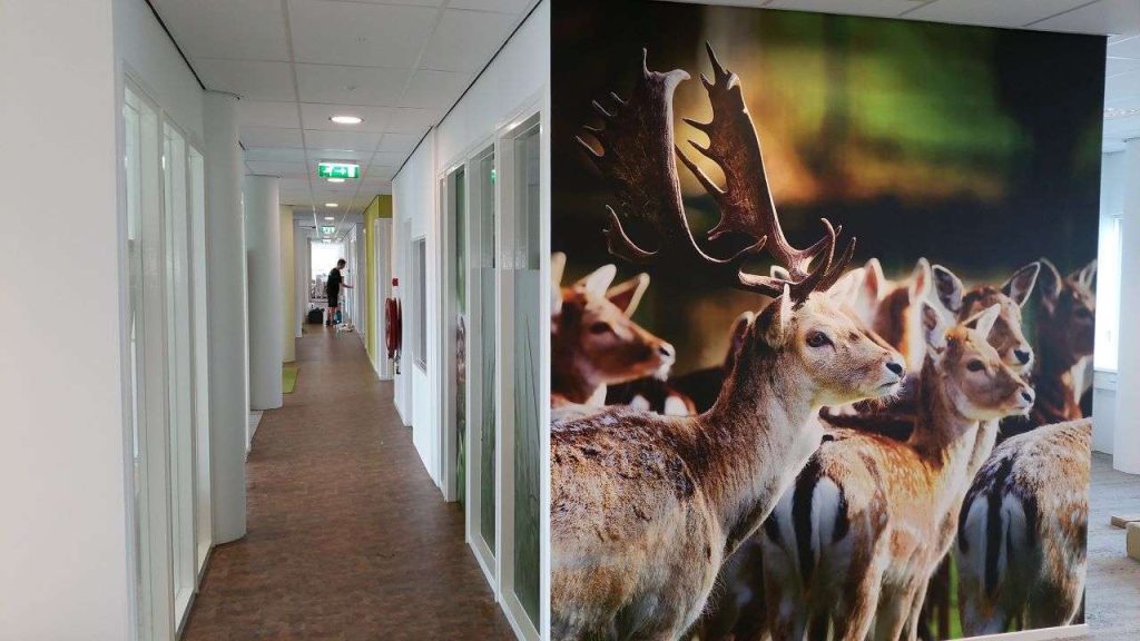 Signing, prints, printbehang, interieurbouw